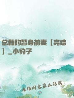 总裁的替身前妻【完结】