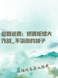 总裁追妻：娇妻拒婚大作战