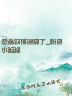 恭喜你被逮捕了