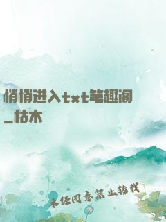 悄悄进入txt笔趣阁