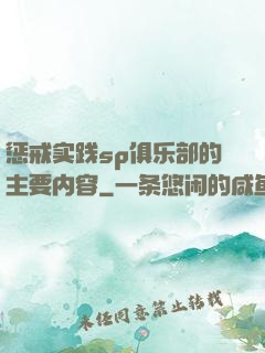 惩戒实践sp俱乐部的主要内容