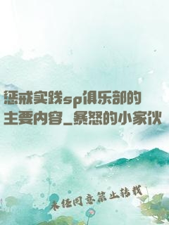 惩戒实践sp俱乐部的主要内容