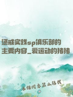惩戒实践sp俱乐部的主要内容