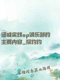 惩戒实践sp俱乐部的主要内容