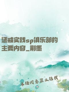 惩戒实践sp俱乐部的主要内容