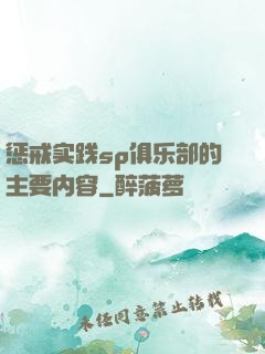 惩戒实践sp俱乐部的主要内容