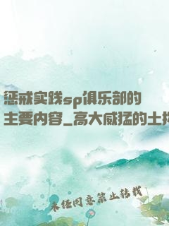 惩戒实践sp俱乐部的主要内容