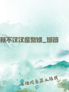 我不仅仅是赘婿