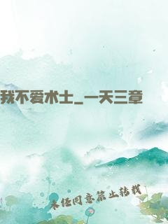 我不爱术士
