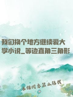我们换个地方继续爱大学小说