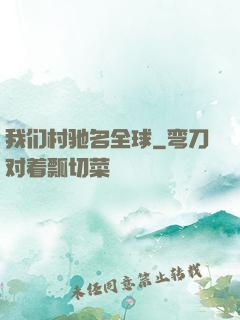 我们村驰名全球