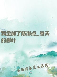 我全加了防御点
