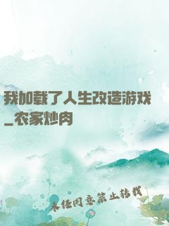 我加载了人生改造游戏