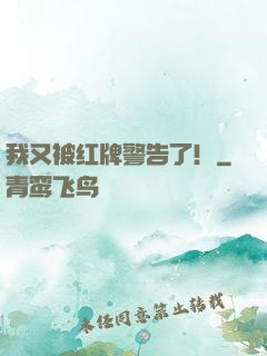我又被红牌警告了！