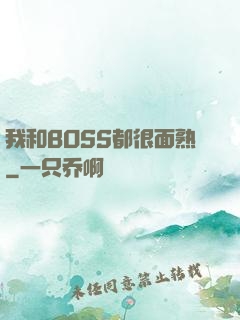 我和BOSS都很面熟