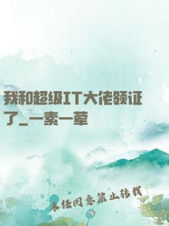 我和超级IT大佬领证了