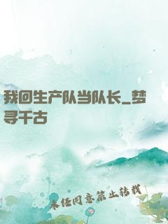 我回生产队当队长