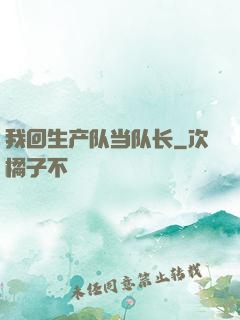我回生产队当队长