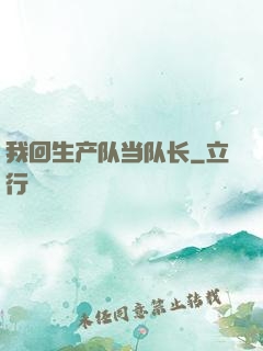 我回生产队当队长