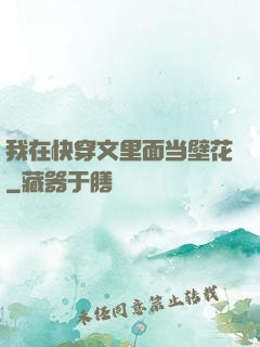 我在快穿文里面当壁花