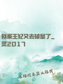 我家王妃又去破案了