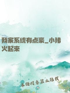 我家系统有点豪