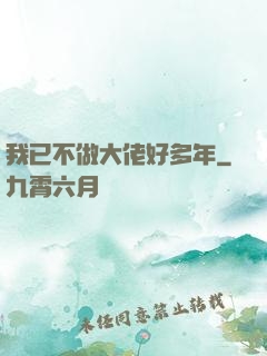 我已不做大佬好多年
