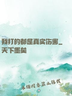 我打的都是真实伤害
