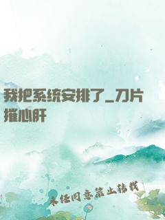 我把系统安排了