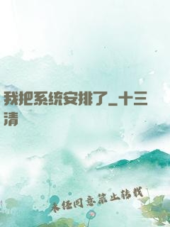 我把系统安排了