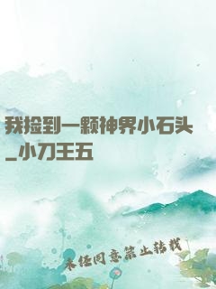我捡到一颗神界小石头