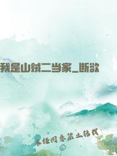 我是山贼二当家