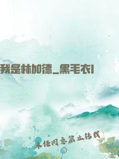 我是林加德