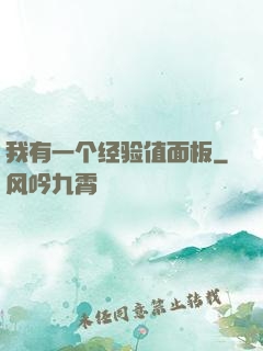我有一个经验值面板