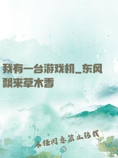 我有一台游戏机