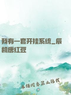 我有一套开挂系统