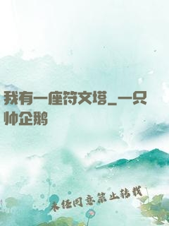 我有一座符文塔