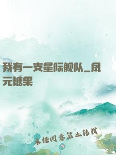 我有一支星际舰队