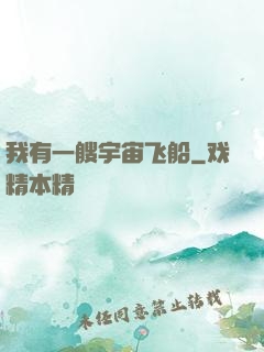 我有一艘宇宙飞船