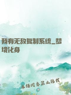 我有无敌复制系统