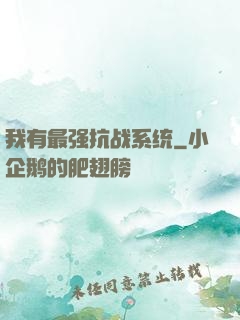 我有最强抗战系统