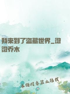 我来到了盗墓世界