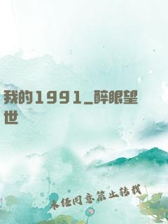 我的1991