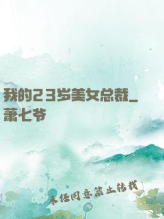 我的23岁美女总裁
