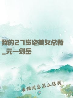 我的27岁绝美女总裁