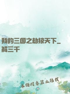 我的三国之劫掠天下