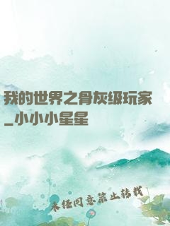 我的世界之骨灰级玩家