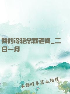 我的冷艳总裁老婆
