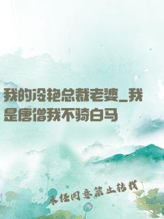 我的冷艳总裁老婆