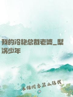 我的冷艳总裁老婆